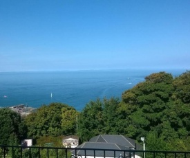 Verity and Ilfracombe Harbour View