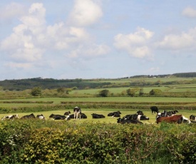 The Loft, Holsworthy