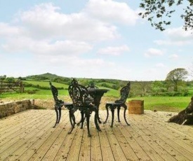 Lower Brentor View