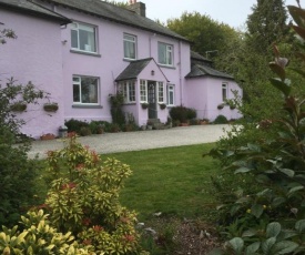 The Cherrybrook on Dartmoor