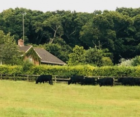 Yellowham Farm