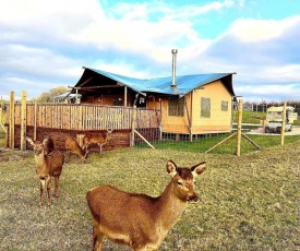 Luxury Safari Lodge surrounded by deer!! 'Roe'