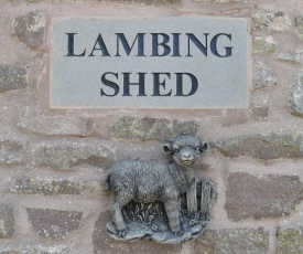 Lambing Shed - UK12380