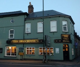 The Swan