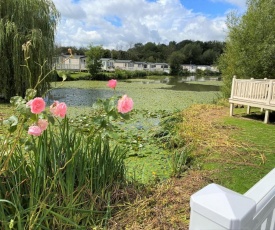 Lilly Pad